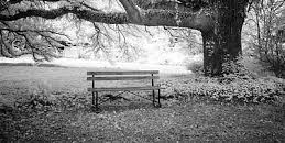 Kid Dynamite And His&nbsp;Girlfriend